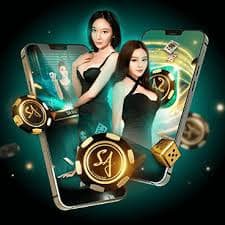 buffalo agent လောင်းကစား — Live Casino ကတ်ဂိမ်းနှင့် ကာစီနိုမြင်ကွင်း